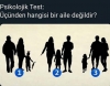 hangisi bir aile değildir testi / #2075836