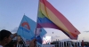 lgbtlilerin aynı zamanda chpli veya hdpli olması / #2234613