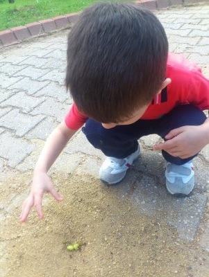 anın görüntüsü