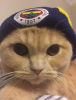 fenerbahçeliler gelsin hele bir şey diyeceğiz