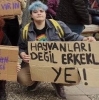 hayvanları değil erkekleri ye / #2216438