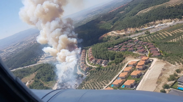 bursa daki orman yangınında açılan proje alanı