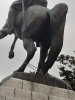 samsun atatürk anıtını iple yıkmaya çalışmak / #2211085