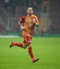 wesley sneijder