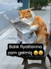 zamlar yakında duracak