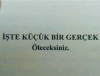 gecenin gerçeği