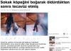 sokak köpeğini boğarak öldürüp tecavüz etmek / #1676981