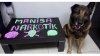 vazifesini yapmış narkotik köpeği tatlılığı / #1663387