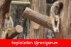 baldızının çekmecelerini karıştıran enişte / #1417359