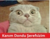 insan suretinde aramızda dolaşan varlıklar / #1160023