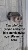 kedi