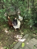 sözlük erkeklerinin fotoğrafları / #1702641