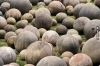 kostarika daki taştan toplar