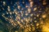 mammatus bulutları / #1753834