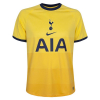 tottenham hotspur
