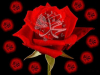 hazreti muhammed / #2425550