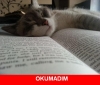 sevdiğin kızın etrafında dolaşan tipler / #1127498