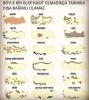 tarımda tükenmişlik sendromu / #2342261