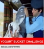 zombi tarafından ısırılan türkün ilk sözleri / #1109156