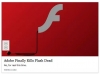 adobe flash player / #1495073