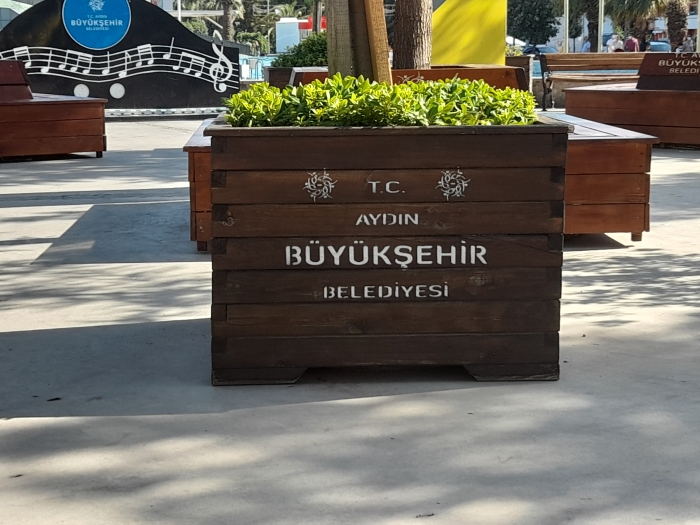aydın