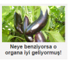 milliyet com tr nin iyice abazana bağlaması / #1181825
