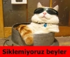 suriyeliyim osmanlının dirilmesine yardım edeceğiz / #1180959