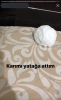 ülkemizin mizah anlayışı / #2143828