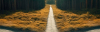 yol