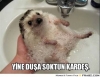 bir çift meme size ne yaptırabilir / #1615082