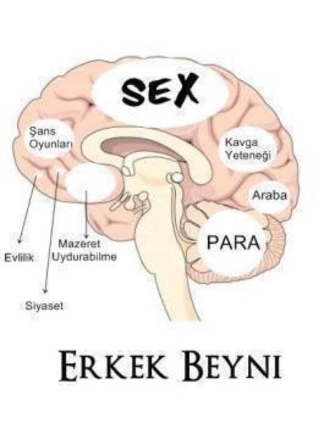 Karısını Satan Erkekler Pornosu Seyret Gay Erkek Erkege Pornosu