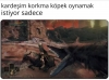 sokak köpekleri / #2256895