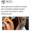 çağrı taner