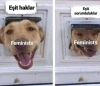 feminazi vs feminizm / #1730980