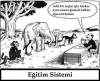 türkiyede eğitim