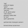 aşık olunan son kadına yazılan son şiir / #1205957
