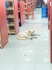 farklı / #2277608