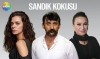 sandık kokusu dizisi