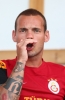 wesley sneijder