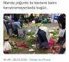 pazardan atılmış sebze meyve toplayan teyze / #2220756