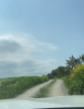 yollar