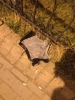iç çamaşırına ölüm pipilere özgürlük / #1222338