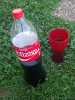 kola / #2425010