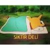 sibel can evrenin en güzel kadınıdır / #1556555
