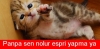 tekbir getirirerek yangın söndürebilirsiniz / #2171608
