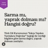 yaprak sarmasına dolma diyen insan zekası / #1834526