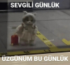 geceye bir görsel bırak