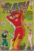 the flash / #1169082