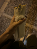 en son ne yediniz / #2428095