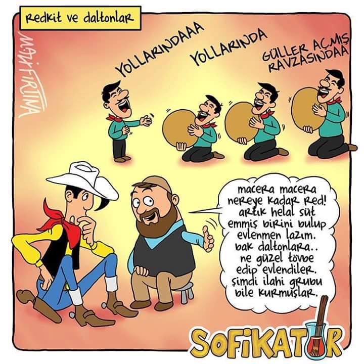 sofikatör